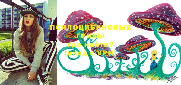 jwh Новокубанск