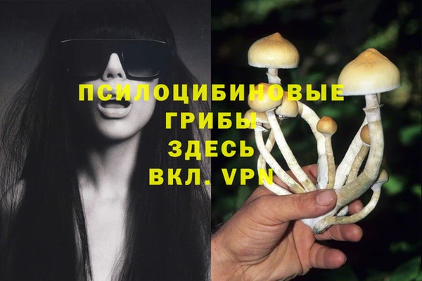 кокаин Новозыбков