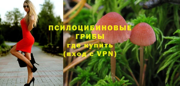 jwh Новокубанск