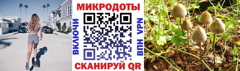 Псилоцибиновые грибы Magic Shrooms  Купить  Усинск 